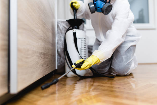 Best Flea Control Services  in Pea Ridge, AR