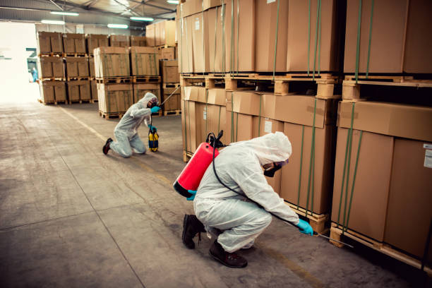 Flea Control Services in Pea Ridge, AR