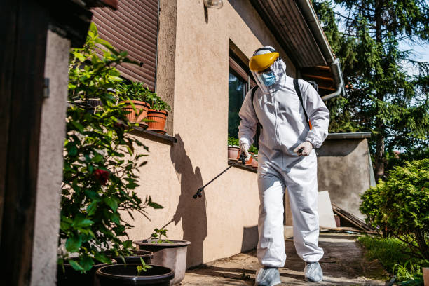 Best Rat Extermination Near Me  in Pea Ridge, AR