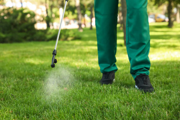 Best Best Pest Control Companies  in Pea Ridge, AR