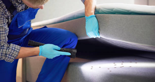 Trusted Pea Ridge, AR Pest Control Experts