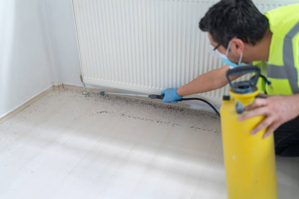 Best Emergency Pest Control  in Pea Ridge, AR