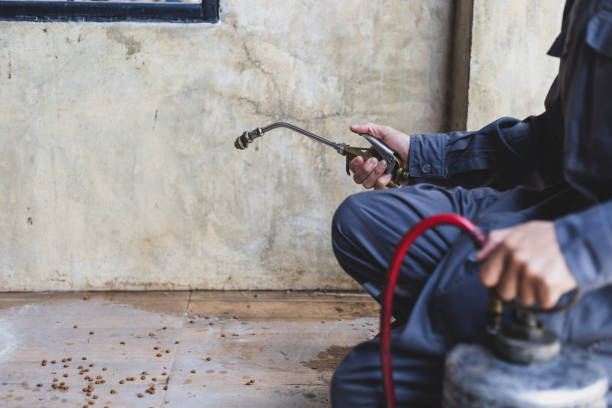 Best Pest Control Near Me in Pea Ridge, AR
