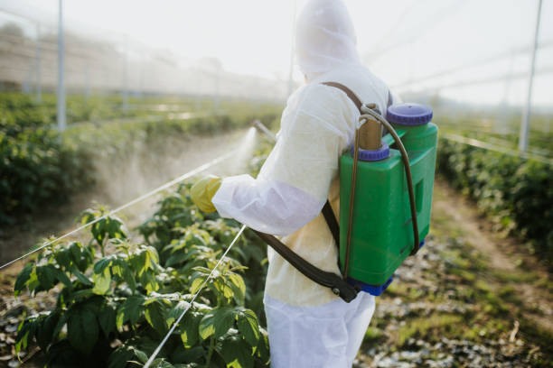 Best Exterminator Services  in Pea Ridge, AR